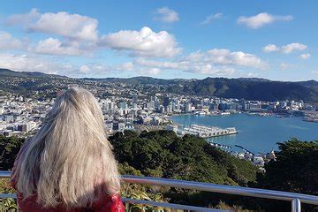 THE TOP 10 Wellington Tours & Excursions in 2024 .